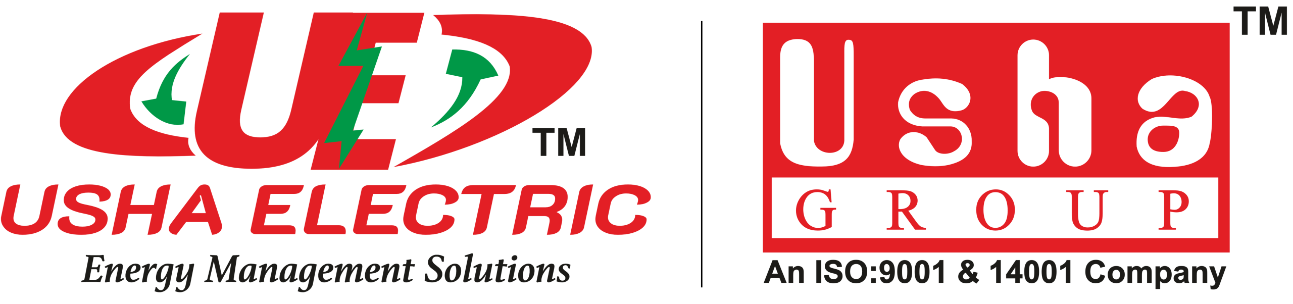 USHA ELECTRIC POWER PVT LTD